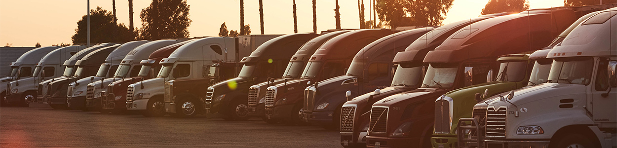 UF_TA_Petro_Details-0287-1250px (1)